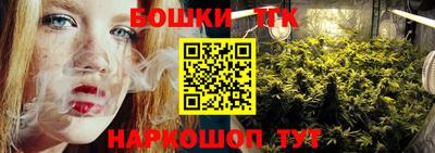 индика Кулебаки