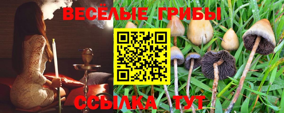 Донецк  Галлюциногенные грибы Psilocybe  Вход с VPN 